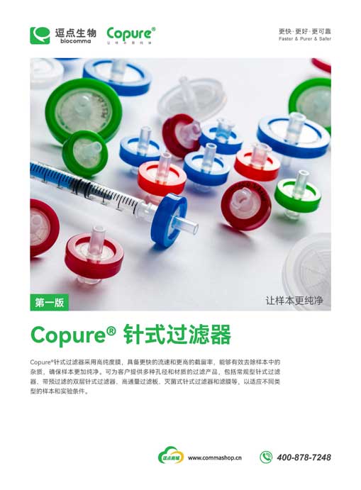 针式过滤器